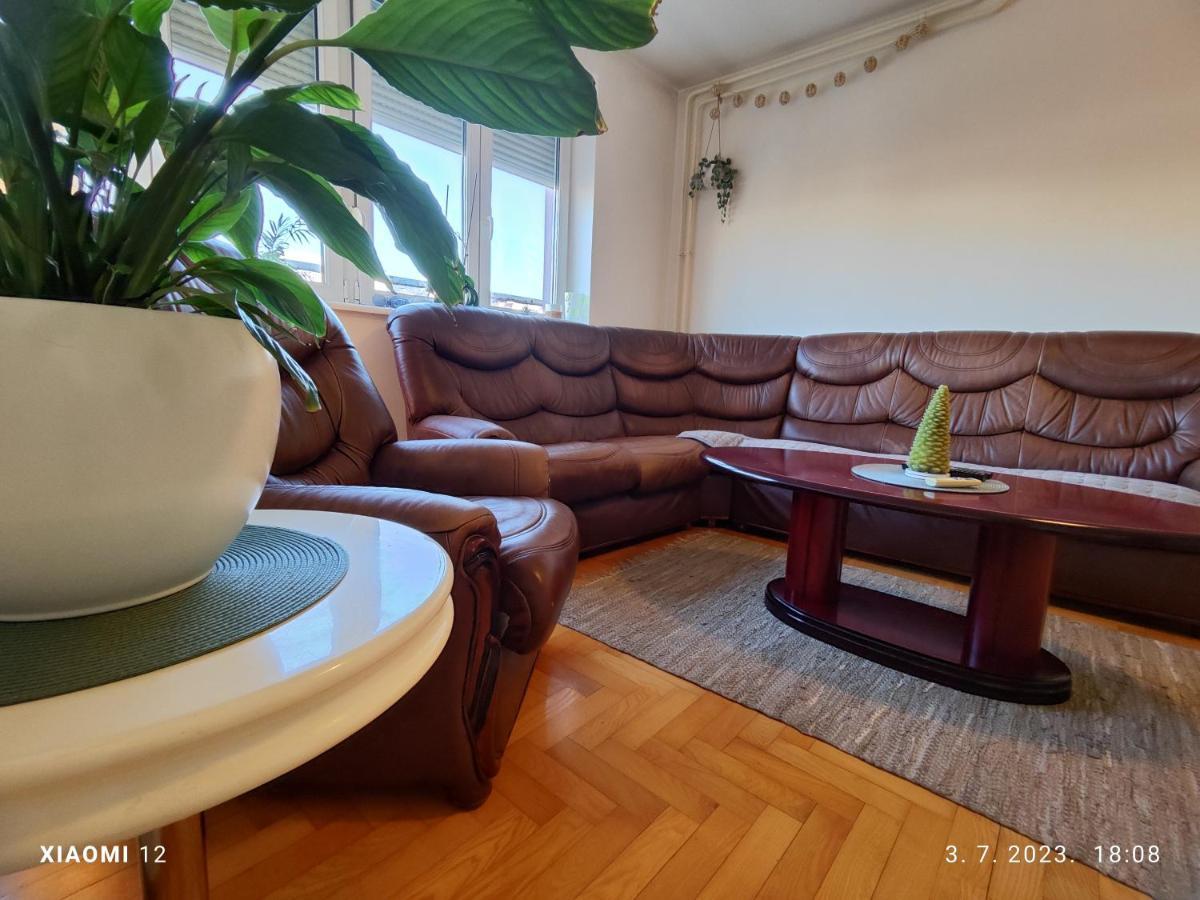 Apartamento Srecko No3 Belgrado Exterior foto
